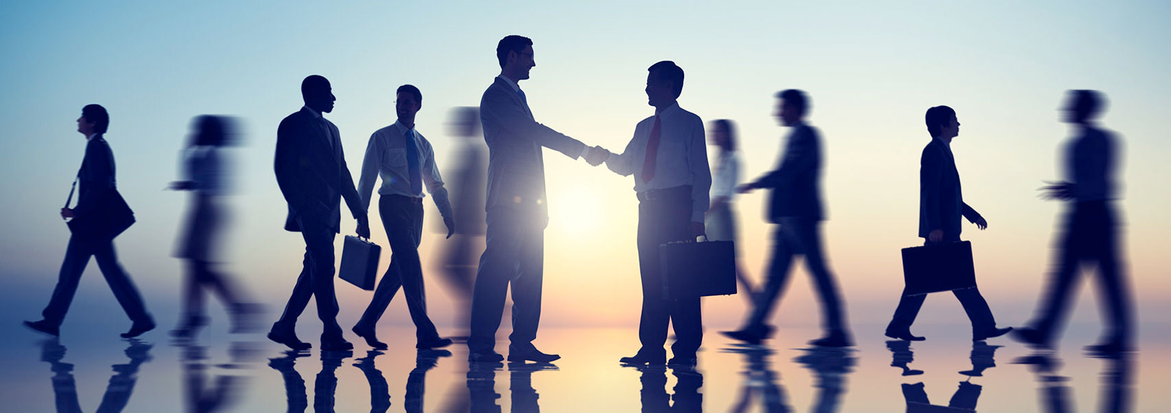 Directori empreses TIC