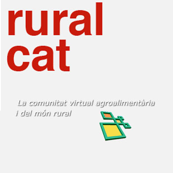 rural-cat