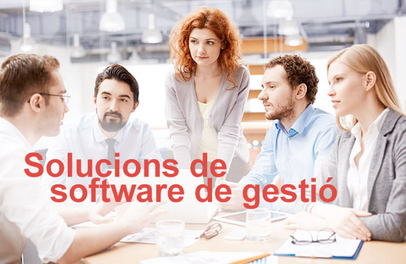 Solucions de software de gestió